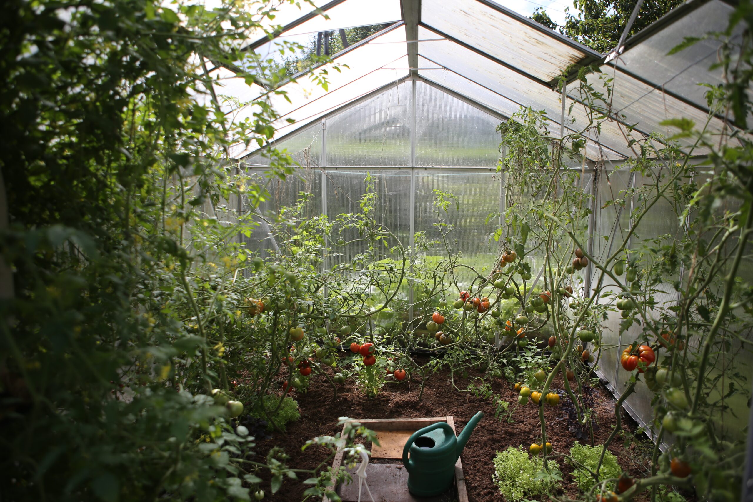 Read more about the article Design tips for a kitchen garden