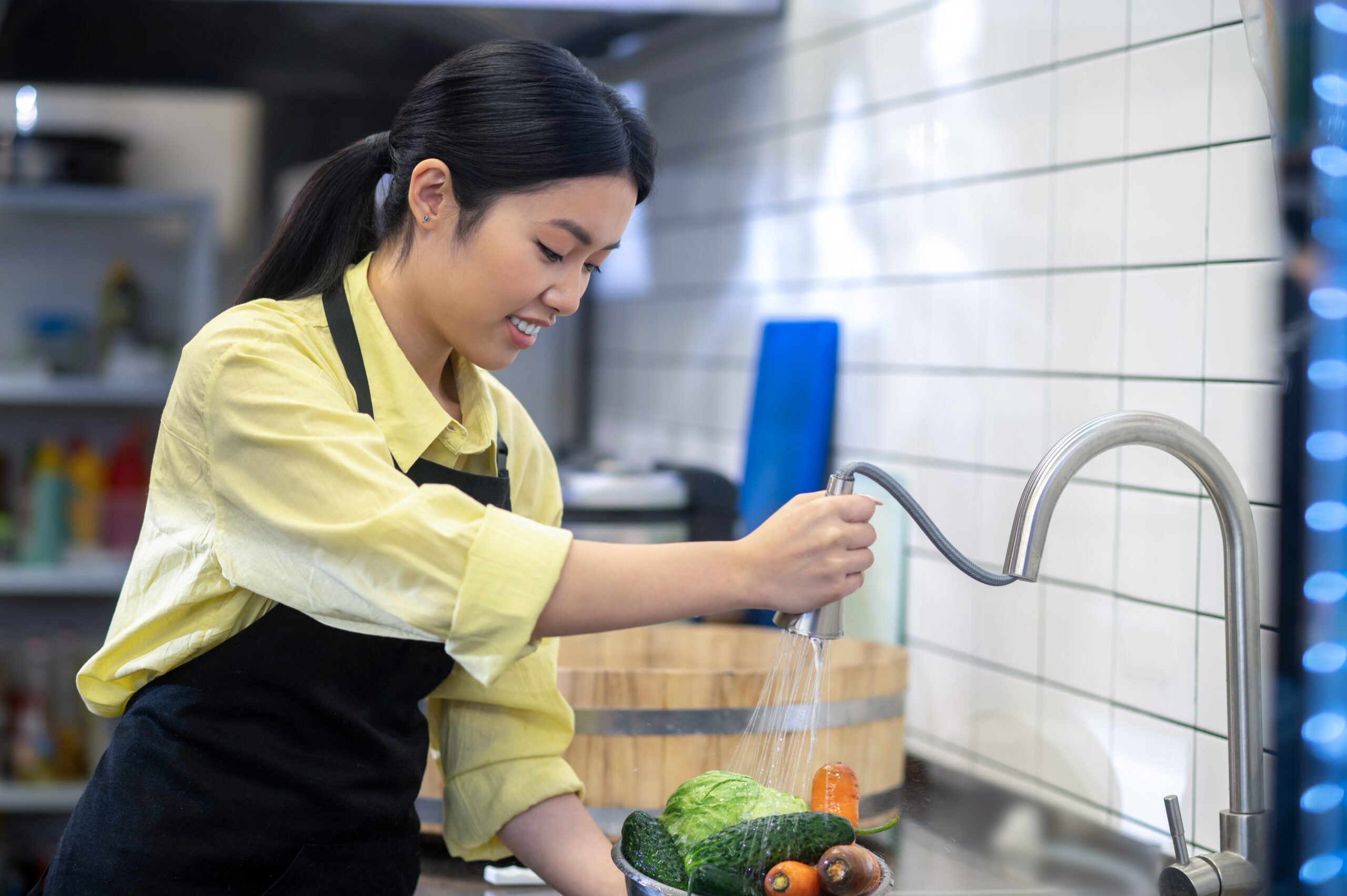 Read more about the article Water Filtration in a Commercial Kitchen