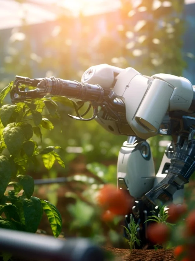 Read more about the article How AI can help create a more sustainable food system?
