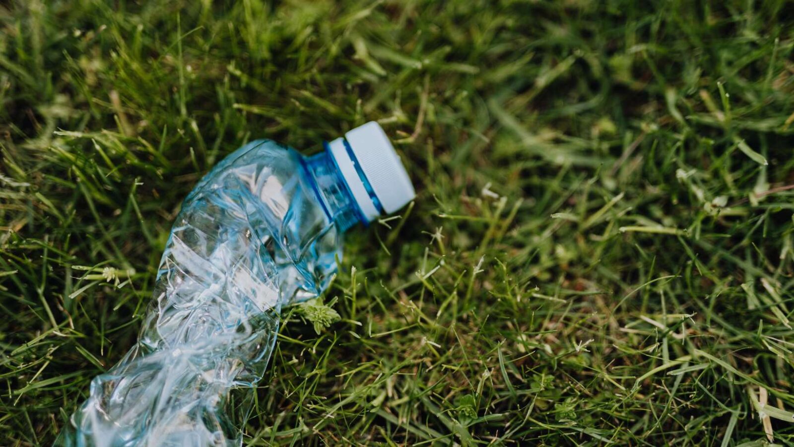 Read more about the article Tackling Single-Use Plastic Waste in Hotels: A Sustainable Approach