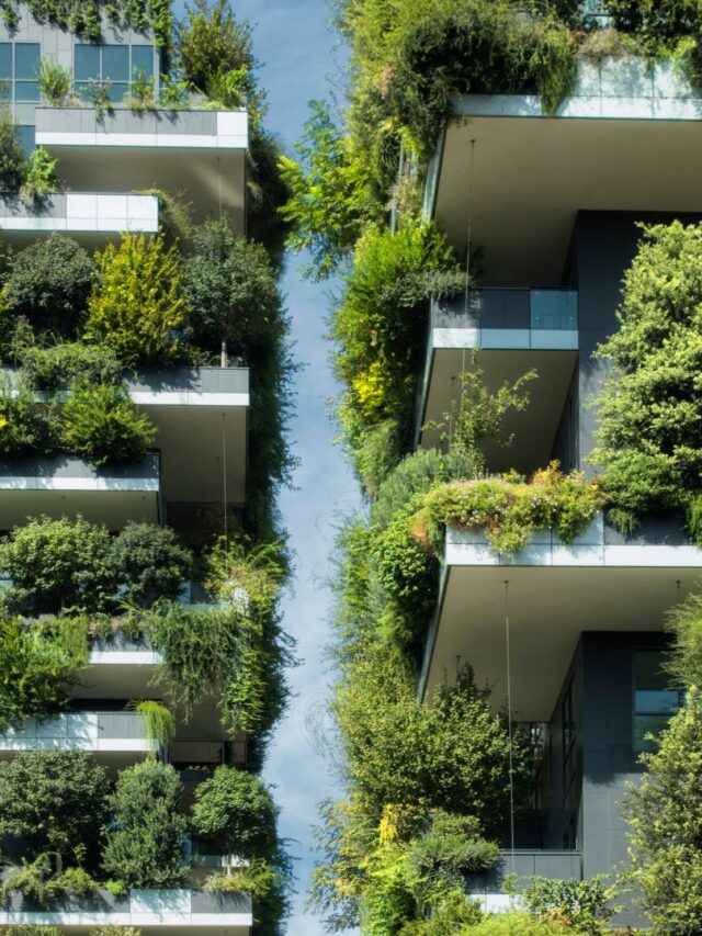 Read more about the article Embracing Eco-Friendly Materials in Hotel Interiors 2024 >Hotel Facility Planning>