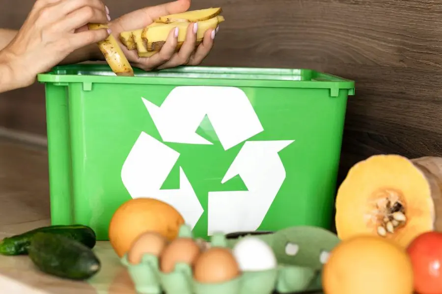 Waste Management Consultant