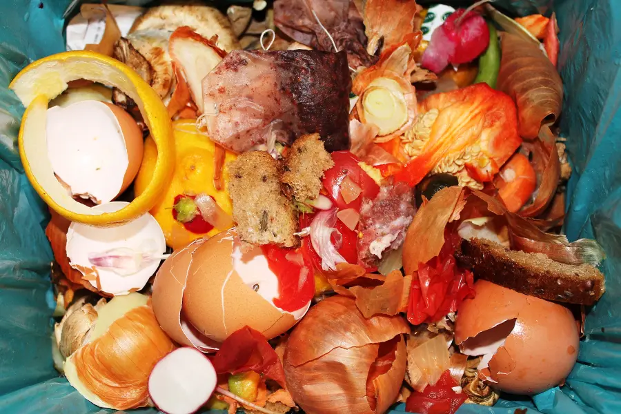 Waste Management Consultant