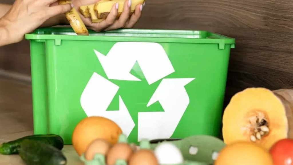 A professional waste management consultant holding a symbolic representation of sustainable hospitality practices.